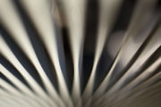 Hvac 2424.jpg